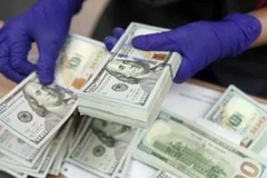 The US dollar at Vietnamese commercial banks has so far this year increased by about 2.6-3% against the dong. (Photo: VNA)