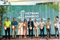 The Vietnam Bamboo Foundation is officially launched on August 2 in HCM City, alongside its initiative “Luy Tre Lang” (Bamboo Village). (Photo: VNA)