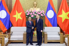 Vietnamese Minister of Justice Hoang Thanh Tung (R) and Lao Deputy Prime Minister and Minister of Justice Khamphan Phommathat meet in Hanoi on June 16. (Photo: VNA)