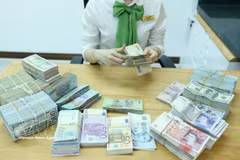 The daily reference exchange rate is set at 25,103 VND/USD on April 15. (Photo: VNA)