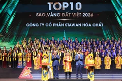 The top 10 winners of the Vietnam Gold Star Award 2024 are announced at the event. (Photo: VNA)