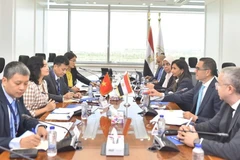 A meeting between the working delegation from Vietnam’s Ministry of Industry and Trade, and leaders of Egypt’s Investment and Foreign Trade Ministry. (Photo: Courtesy of the Ministry of Industry and Trade)