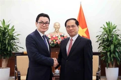 Deputy Prime Minister and Minister of Foreign Affairs Bui Thanh Son (R) and Secretary of State Ung Rachana from the Cambodian Ministry of Foreign Affairs and International Cooperation (Photo: VNA)