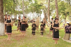Young children from Dak Doa district, Gia Lai province perform traditional musical instrument (Photo: VNA)