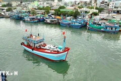 An Giang province has set up 10 task forces to conduct inspections of IUU prevention efforts across localities, focusing on preventing any “three Nos” boats that lack proper registration certificates, fishing licences and inspection certifications. (Photo: VNA)