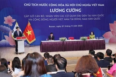 State President Luong Cuong speaks at the meeting with representatives of Vietnamese agencies and community in the southeastern region of the Republic of Korea (RoK) on November 1. (Photo: VNA)