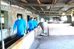 Authorities inspect livestock farms in Hanoi's Lien Minh commune. (Photo: thuonghieucongluan.com.vn)