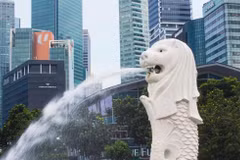 Higher risk appetite and more advanced use cases set Singapore firms apart, but gaps in governance, data and workflow integration continue to separate top performers from the rest, finds PwC's study. (Photo: Pexels)