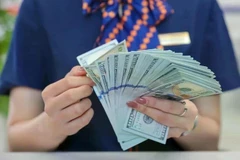The State Bank of Vietnam sets the daily reference exchange rate for the US dollar at 24,927 VND/USD on May 8. (Photo: VNA)