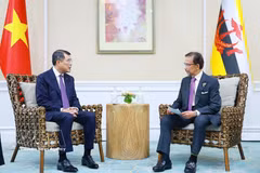 Vietnam seeks stronger ties with ASEAN nations, ADB