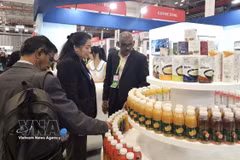 International buyers explore products at the Vietnam International Sourcing 2025. (Photo: VNA)