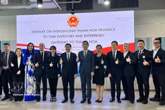 Delegates at the seminar in Bangkok on June 17. (Photo: VNA)