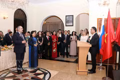 An overview of the event (Photo: VNA)