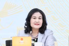Deputy Minister of Home Affairs Nguyen Thi Ha at the Government’s regular July press briefing (Photo: thanhtra.com.vn)
