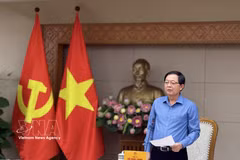 Deputy Prime Minister Ho Quoc Dung speaks at the meeting (Photo: VNA)