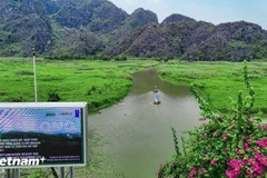 In recent years, Vietnam has strengthened its biodiversity policies, updated its laws, improved management structures and expanded community engagement and partnerships with businesses and civil society. (Photo: VNA)