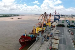 Export cargo ships at Tan Vu port, Hai Phong city (Photo: VNA)