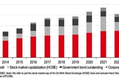 Vietnam’s economic growth has been financed primarily by an expansion in bank credit. (Photo: Courtesy of the HSBC)