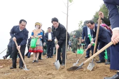 State President Luong Cuong and delegates plant trees in Lao Cai Ward, Lao Cai Province. (Photo: VNA)