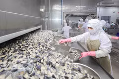 Workers process farm produce at the Coastal Fisheries Development Company (Cofidec) in Ho Chi Minh City. (Photo: VNA) 