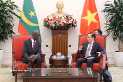 Minister of Foreign Affairs Le Hoai Trung (R) and Minister in charge of the General Secretariat of the Mauritanian Government, Moctar Al Housseynou Lam. (Photo: VNA)
