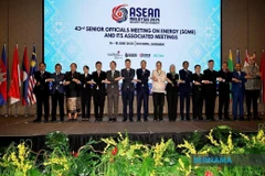 Delegates at the 43rd Senior Officials Meeting on Energy (SOME) and its associated meetings. (Photo: Bernama)