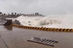 High waves in Ly Son island, Quang Ngai province due to Typhoon Kalmaegi. (Photo: VNA)
