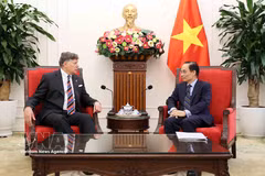 Minister of Foreign Affairs Le Hoai Trung (right) receives US Deputy Secretary of State Christopher Landau in Hanoi on June 10 (Photo: VNA)
