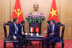 Politburo member and President of the Ho Chi Minh National Academy of Politics Doan Minh Huan (R) and Lee Hong Chuang, Member of Parliament from Singapore’s People’s Action Party, at their meeting in Hanoi on June 9. (Photo: VNA)