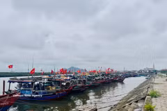 Community-led fisheries groups have become frontline defenders of coastal fisheries. (Photo: VNA)