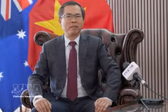 Vietnamese Ambassador to Australia Pham Hung Tam (Photo: VNA)