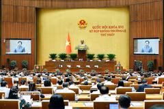 An overview of the discussion on August 6. (Photo: VNA)