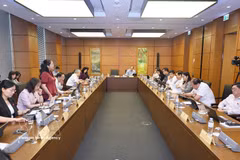 National Assembly deputies from Bac Ninh and Ca Mau provinces hold group discussions on August 6. (Photo: VNA)