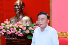 Politburo member, Permanent member of the Communist Party of Vietnam (CPV) Central Committee's Secretariat Tran Cam Tu speaks at the meeting. (Photo: VNA)