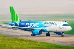 Illustrative image (Photo: VNA)