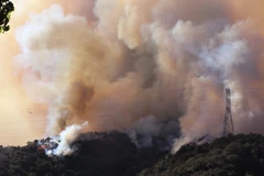 Smoke from a wildfire on January 11, 2025 in Los Angeles, California, the US (Photo: Xinhua/VNA)