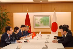 Deputy Prime Minister Le Tien Chau meets with Japanese Foreign Minister Motegi Toshimitsu on June 10. (Photo: VNA)