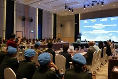An overview of the workshop (Photo: VNA)