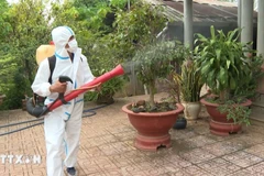 A worker fumigates a residential area. (Photo: VNA)