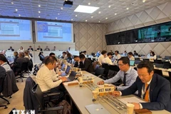 Ambassador Mai Phan Dung, Head of the Vietnamese Delegation in Geneva (first from right). Photo: VNA
