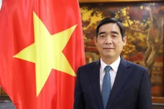 Vietnamese Ambassador to Thailand Pham Viet Hung (Photo: VNA)