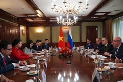 An overview of the working session between Madam Ngo Phuong Ly and Russian Deputy Prime Minister Dmitry Chernyshenko (Photo: VNA)