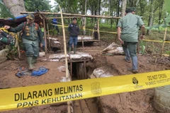 Forest rangers close an illegal gold mining tunnel during an operation in Mounts Halimun Salak National Park in Sukabumi regency, West Java. (Photo: kompas.com) 