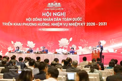 An overview of the conference (Photo: VNA)
