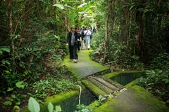 Tourists in the forest of the Lo Go – Xa Mat national park (Photo: VNA)