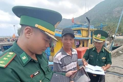 An officer of Con Dao Border Guard Station checks documents and status of fishing vessels on the national database at Ben Dam port, Con Dao special zone. (Photo: VNA)