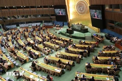 A view of the plenary session to elect members of the UNHRC for the 2026–2028 tenure. (Photo: VNA) 