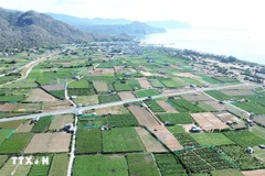 A view of the Ninh Thuan 2 nuclear power project site (Photo: VNA)