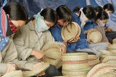 Vietnam is projected to have approximately 2.4 million SMEs, accounting for over 98% of the country’s total enterprises. (Photo: cafef.vn)