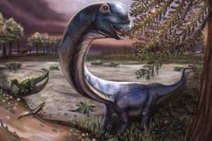 Scientists discover largest dinosaur species ever found in Thailand